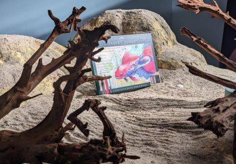 Detailaufnahme eines Produktes in einem Aquarium